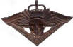 Aust RAS badge