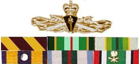 Representation Brumby's ribbons